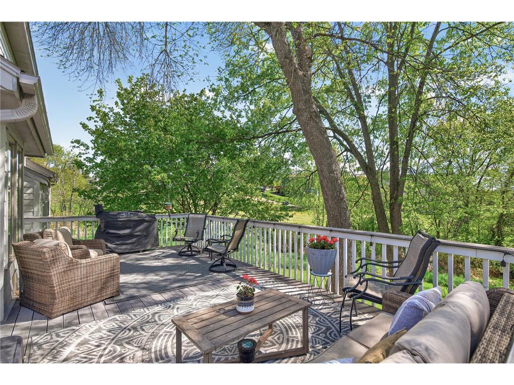 1713 Par Lane Buffalo MN 55313 7071730 image49
