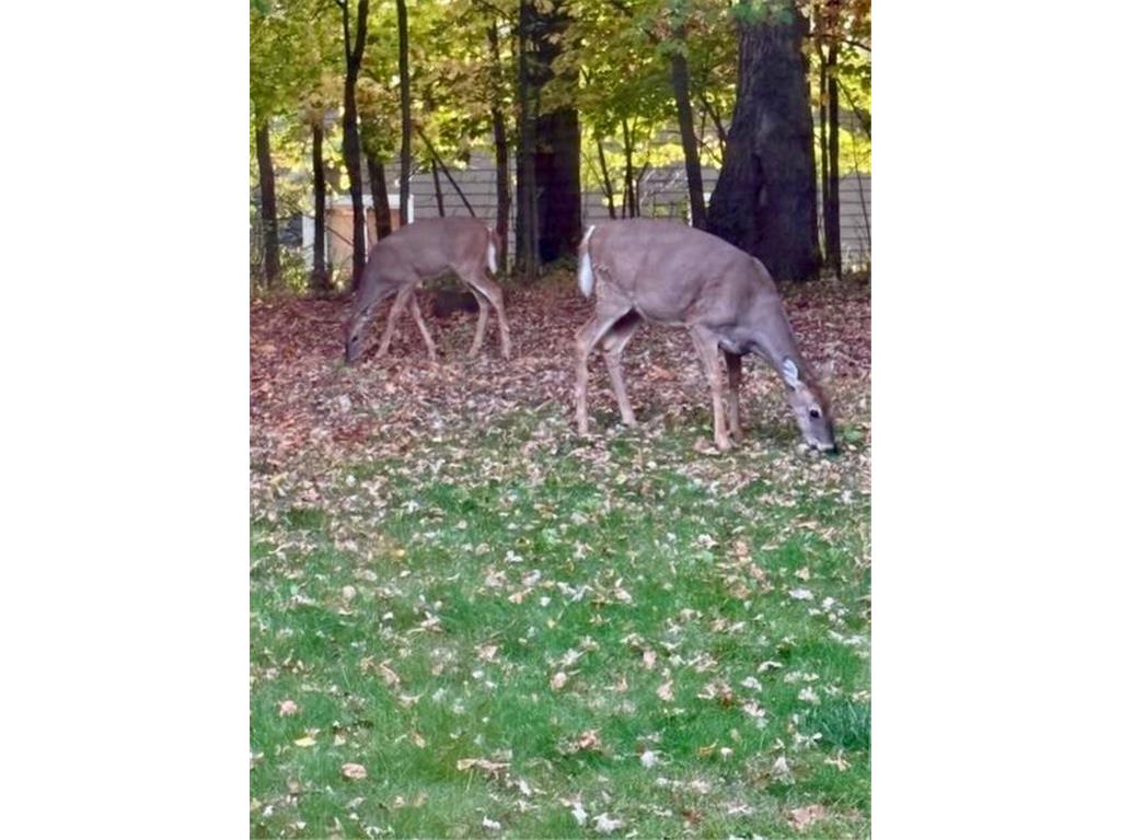 17135 200th Street Lake Park MN 56554 7027358 image34