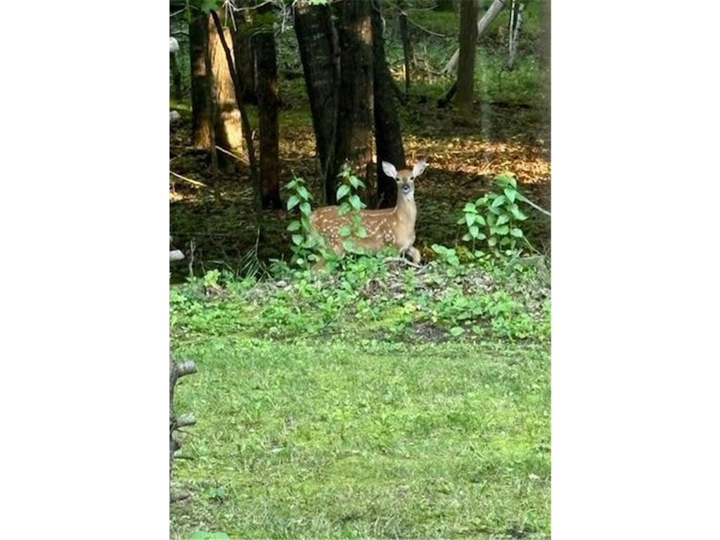 17135 200th Street Lake Park MN 56554 7027358 image35