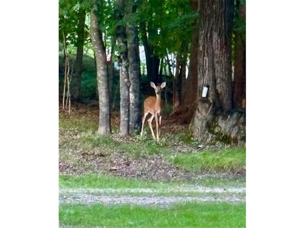 17135 200th Street Lake Park MN 56554 7027358 image36