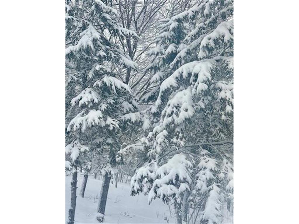 17135 200th Street Lake Park MN 56554 7027358 image38