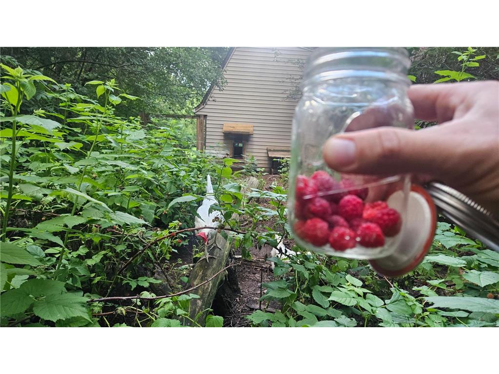 17140 Neill Path Marshan Twp MN 55033 7077502 image12
