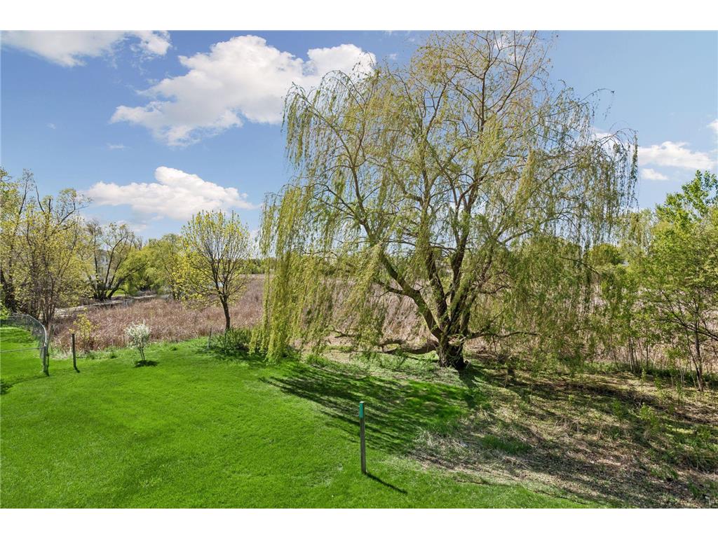 17141 90th Place N Maple Grove MN 55311 7045176 image48