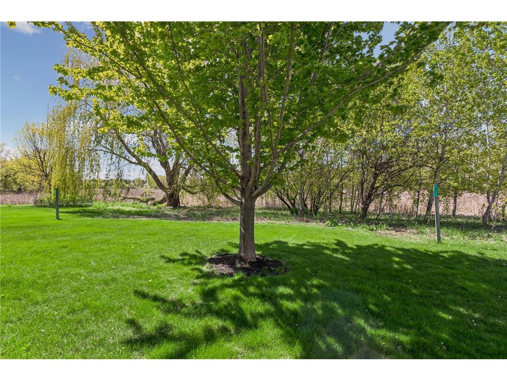 17141 90th Place N Maple Grove MN 55311 7045176 image52