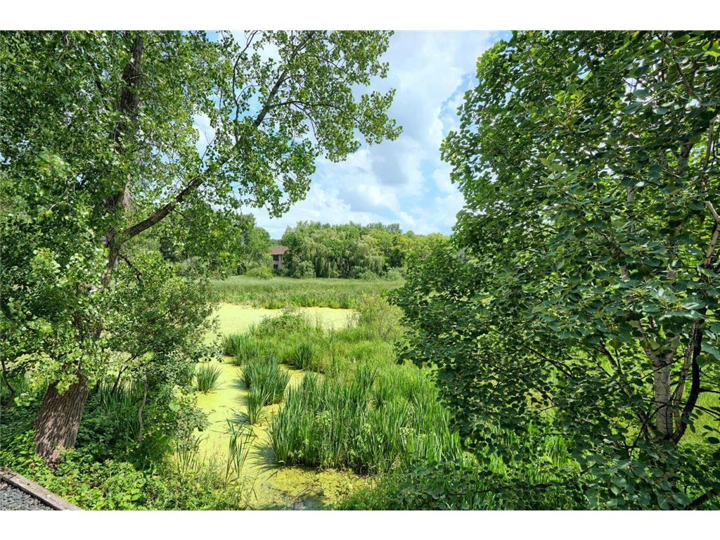 17141 Jefferson Court Lakeville MN 55044 7101155 image40
