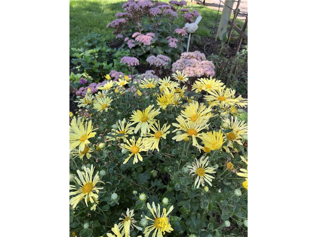 1715 Hillcrest Road Saint Cloud MN 56303 7023435 image22