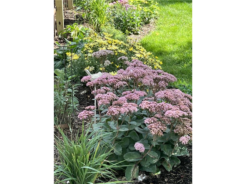 1715 Hillcrest Road Saint Cloud MN 56303 7023435 image23