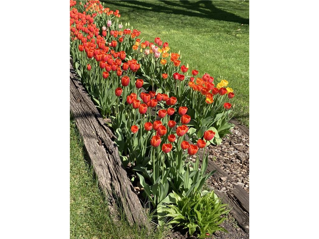 1715 Hillcrest Road Saint Cloud MN 56303 7023435 image27