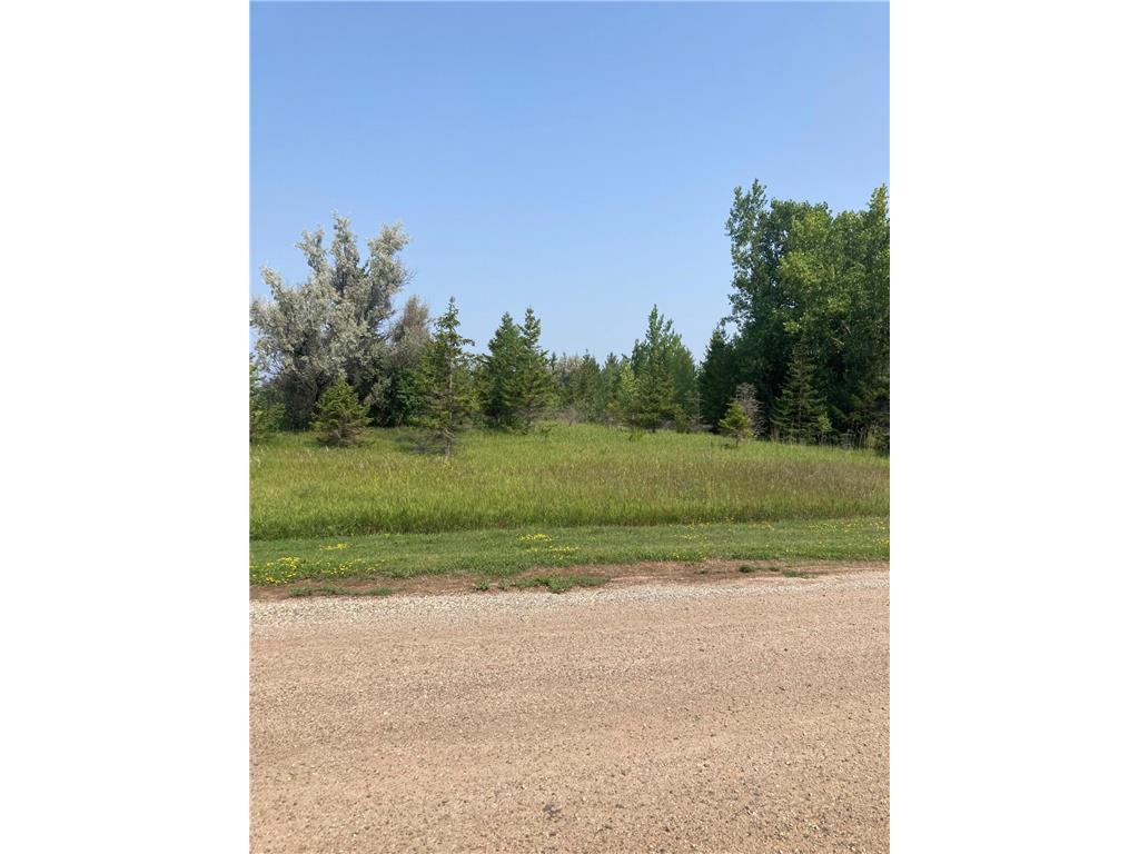 1715 Shoreview Drive, Fergus Falls, MN, 56537 MLS 6414236 Edina Realty