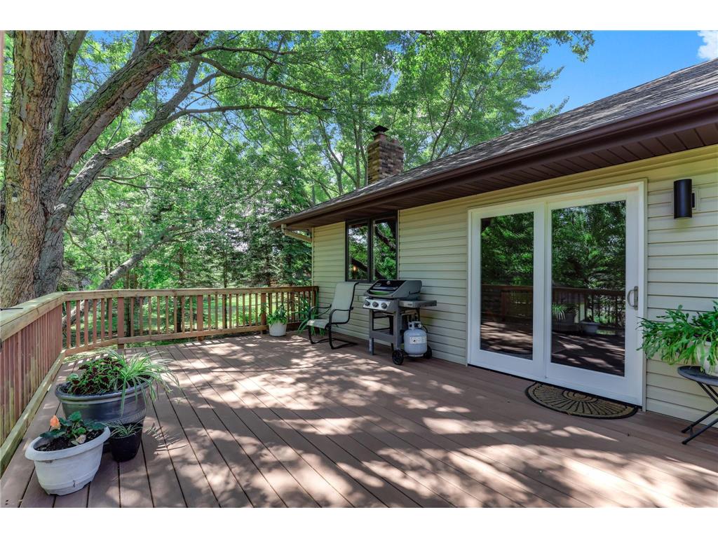 17152 Gage Way Lakeville MN 55024 7101425 image45
