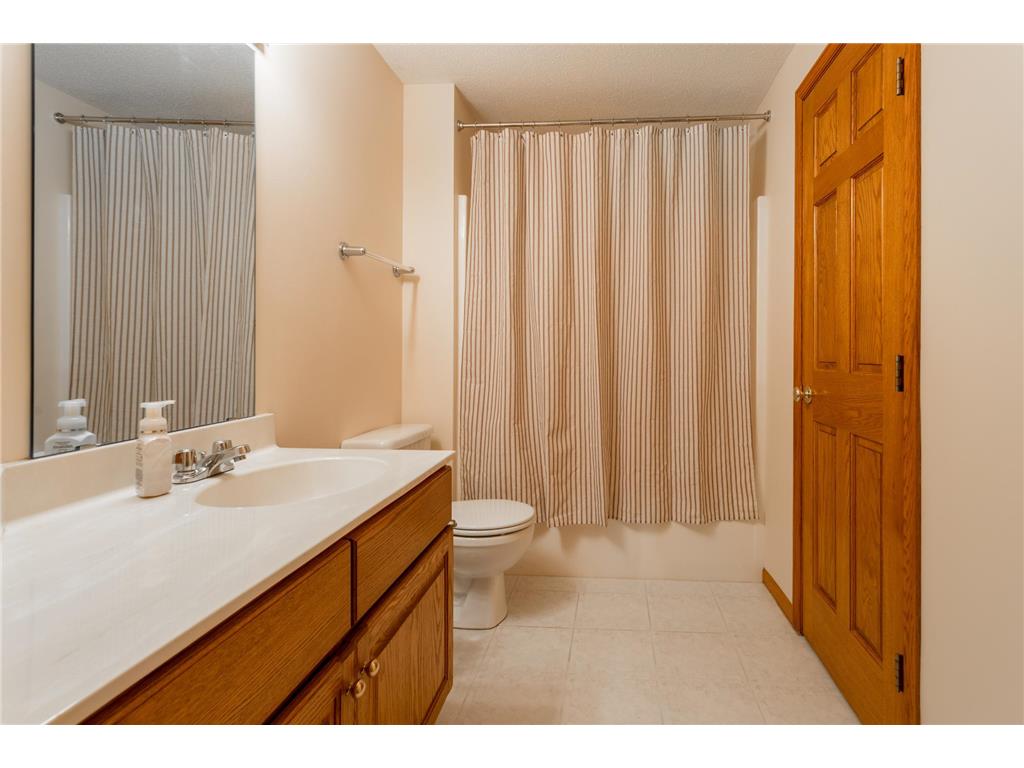 17162 Red Wing Boulevard Marshan Twp MN 55033 7072714 image61
