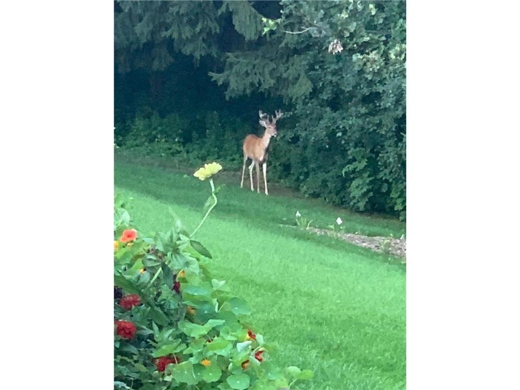 17162 Red Wing Boulevard Marshan Twp MN 55033 7072714 image71