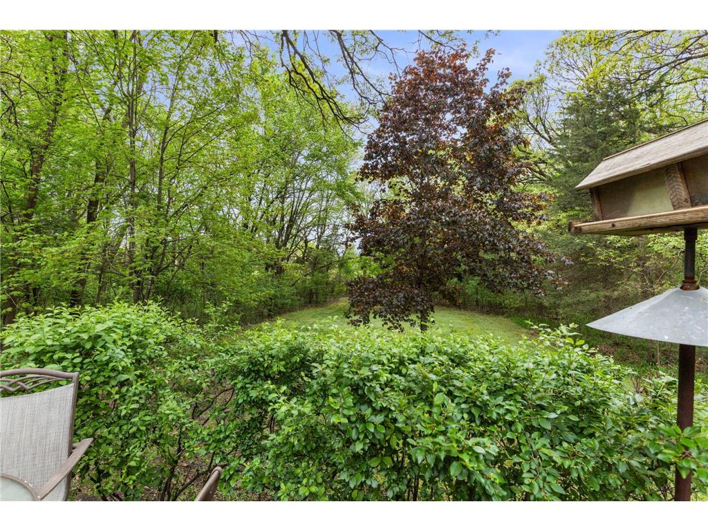 17187 166th Street SE Big Lake MN 55309 7073918 image62