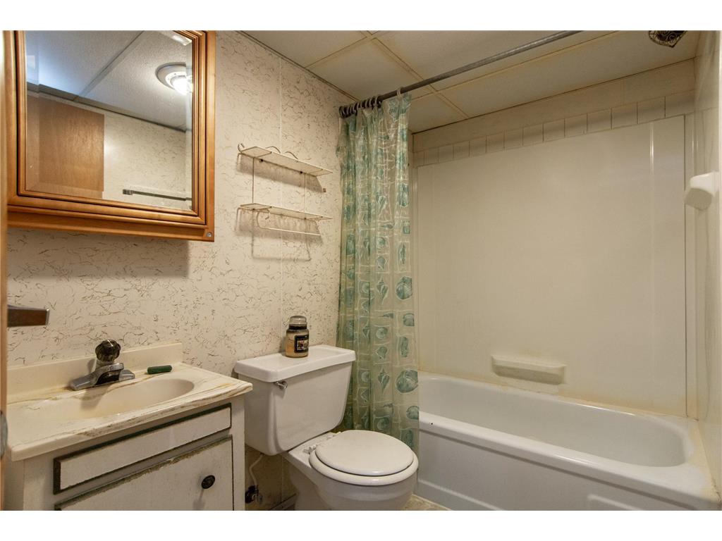 17188 Dewes Road Brainerd MN 56401 - Mississippi 7029231 image36