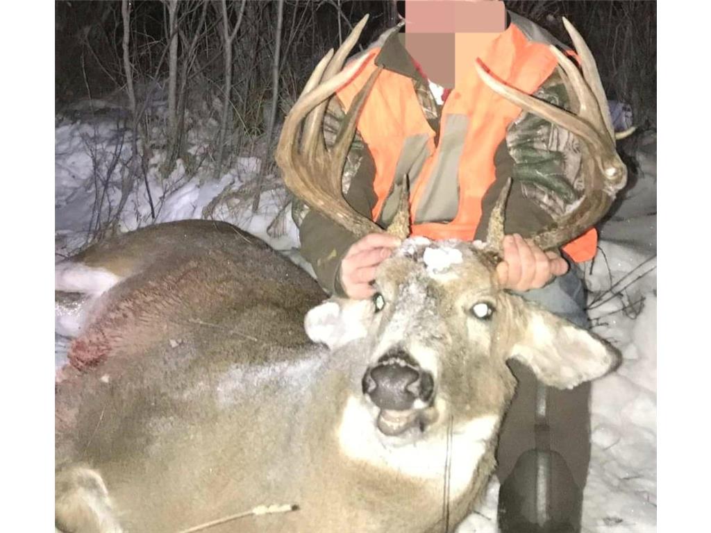 17195 350th Street Wannaska MN 56761 6774263 image21