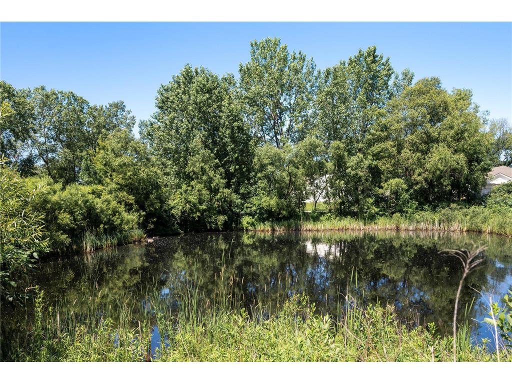 17198 93rd Place N Maple Grove MN 55311 6768517 image22