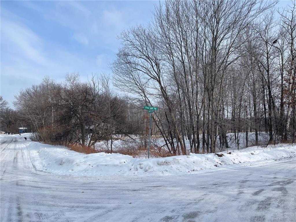 171st Eveleth St. NE Ham Lake MN 55304 6374735 image1
