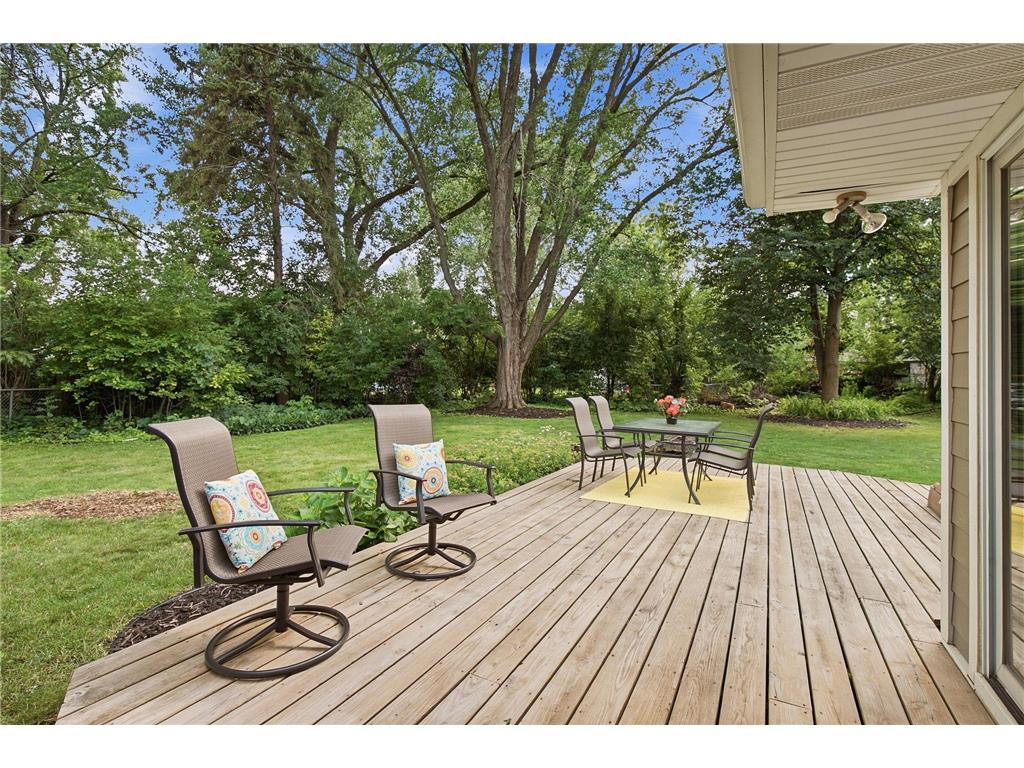 172 Strese Circle Apple Valley MN 55124 6815852 image16