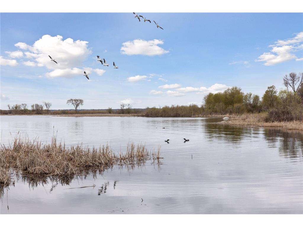 1720 & 1730 Pelican Island Landing NW Walker MN 56484 - Leech Lake 7083196 image22