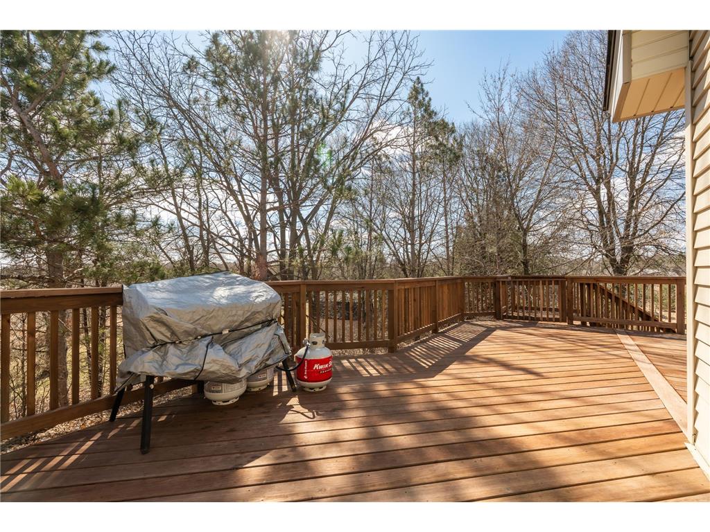 17200 Tungsten Street NW Ramsey MN 55303 7046827 image65