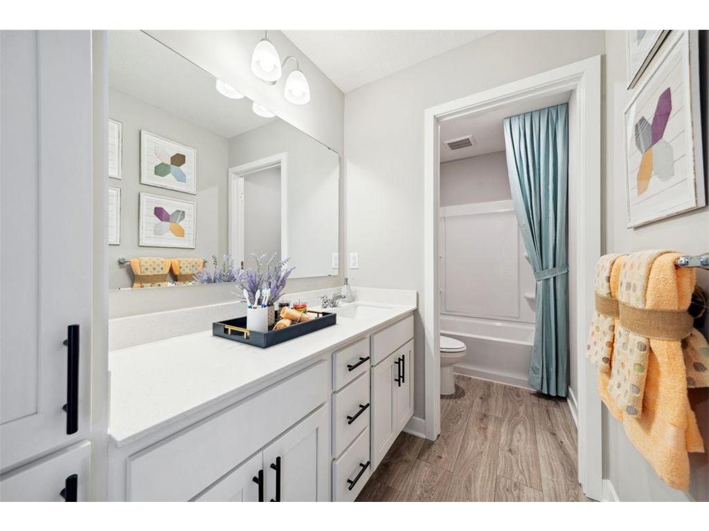 17202 Dimension Avenue Lakeville MN 55044 6807119 image25