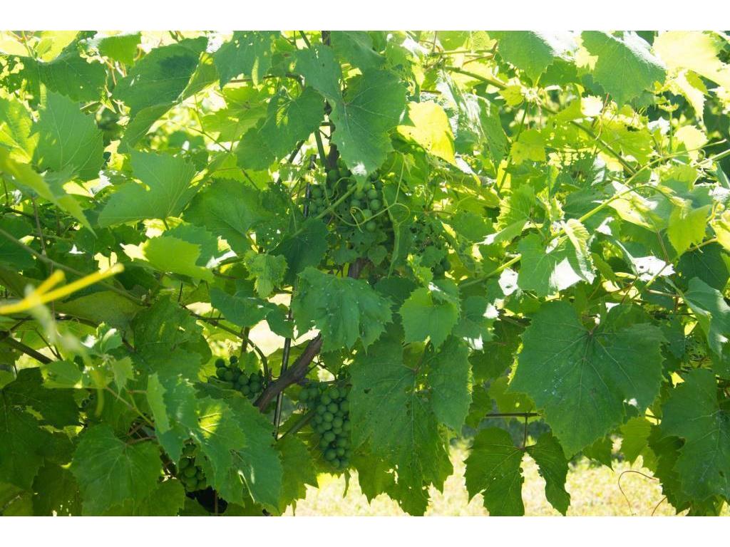 1721 US Highway 8 Balsam Lake WI 54024 6756460 image31