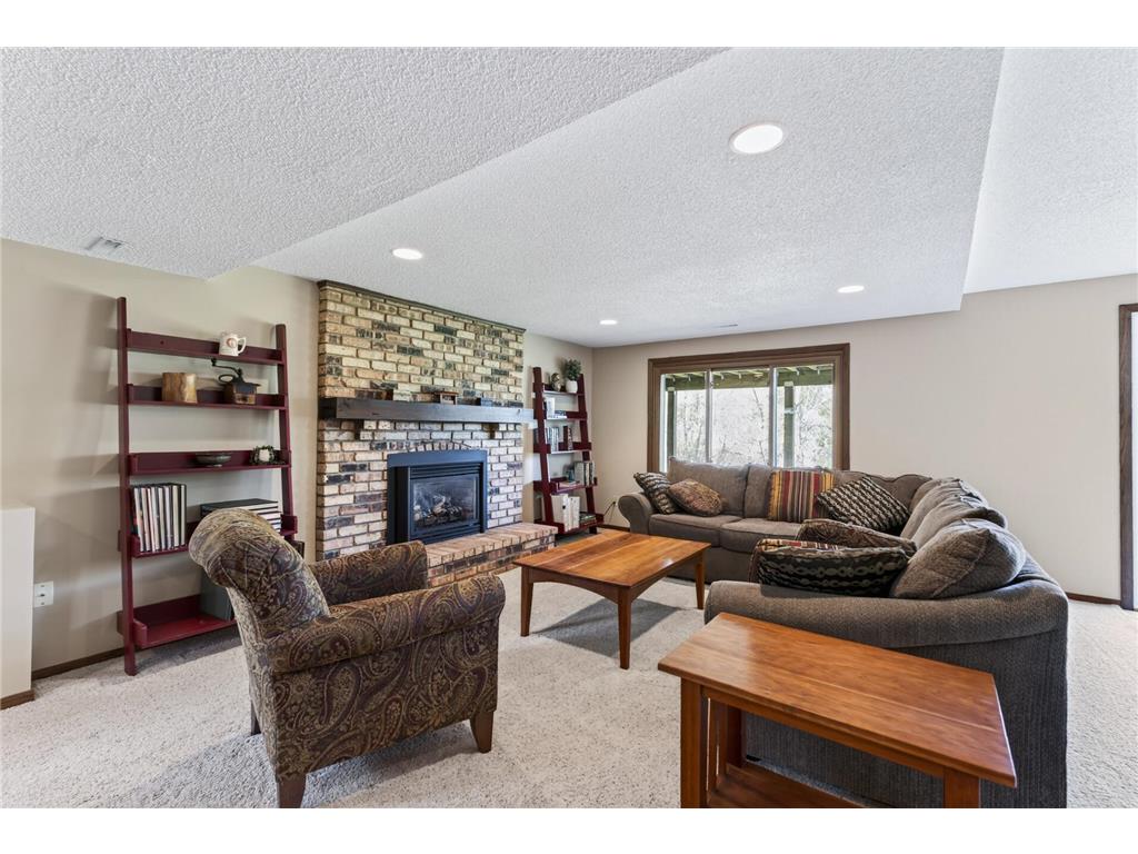 17210 27th Avenue N Plymouth MN 55447 7032734 image33