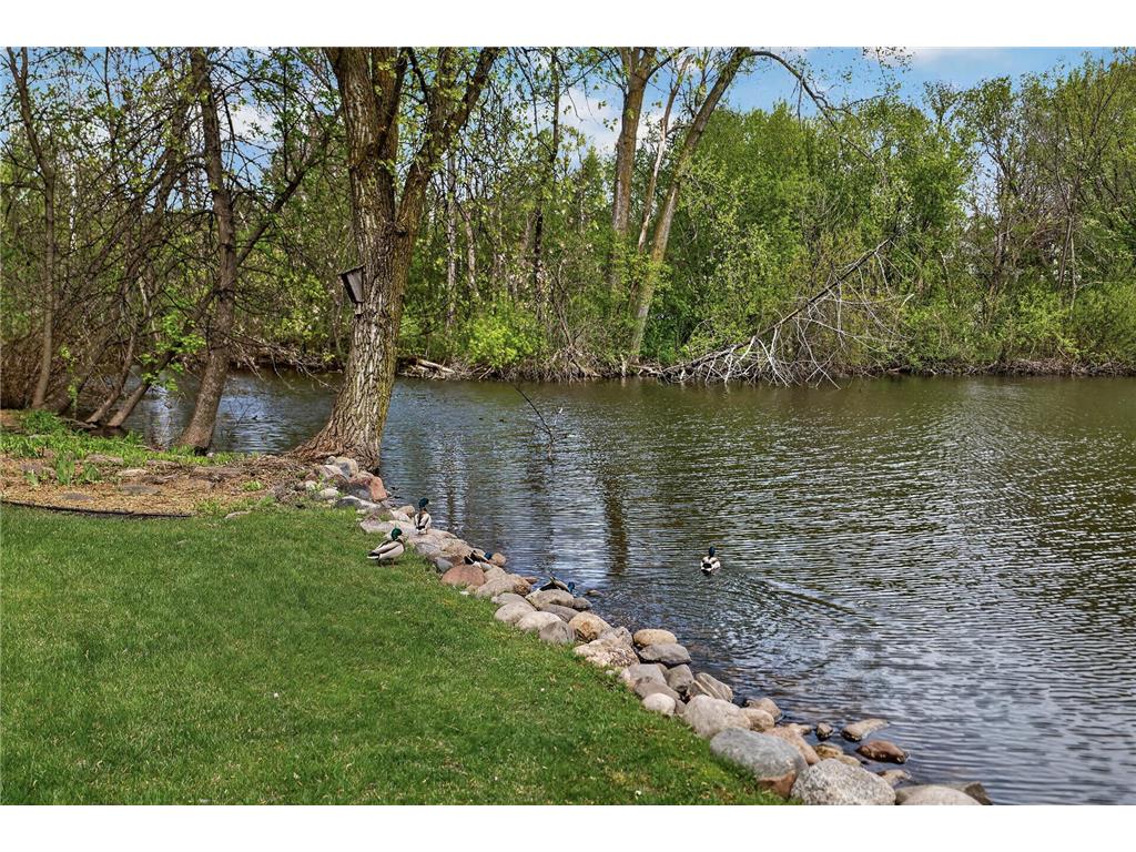 17210 27th Avenue N Plymouth MN 55447 7032734 image50