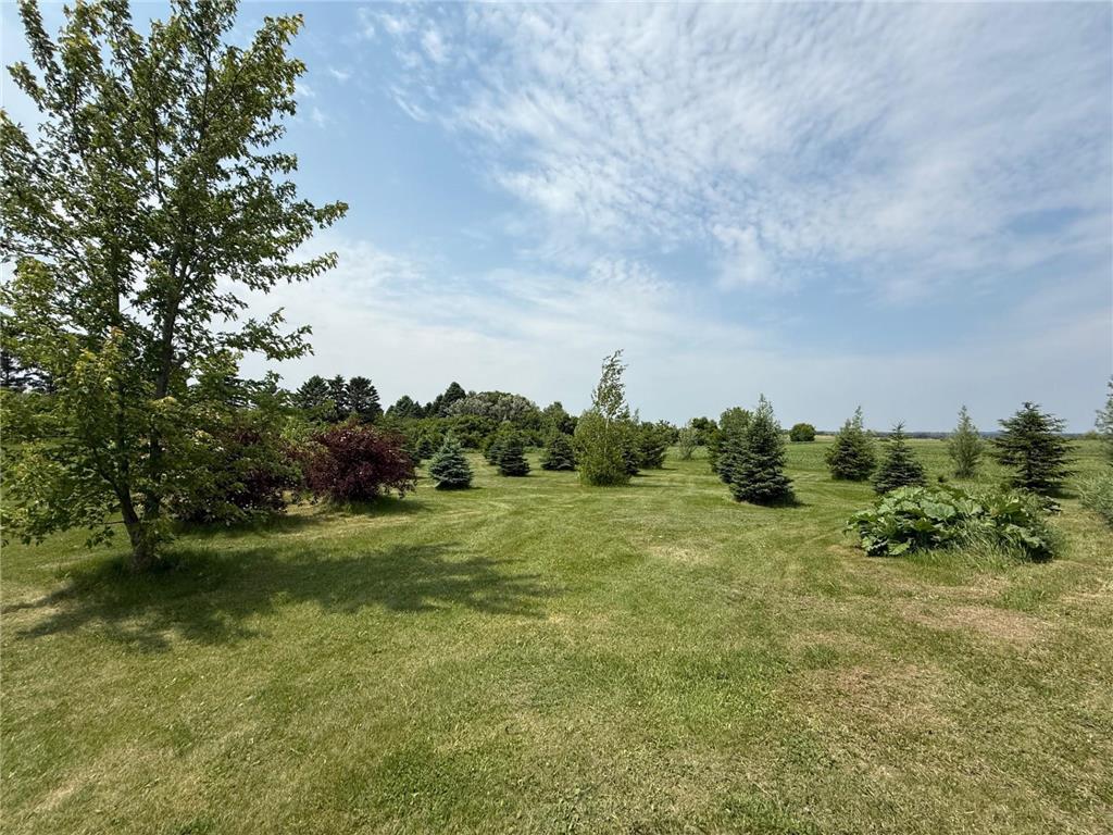 17216 County Road 5 NW New London MN 56273 - Norway 6737074 image10