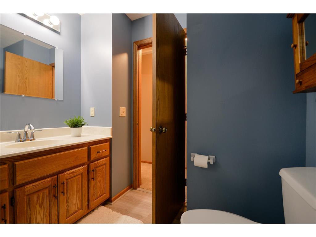17222 168th Street SE Big Lake MN 55309 7080594 image31