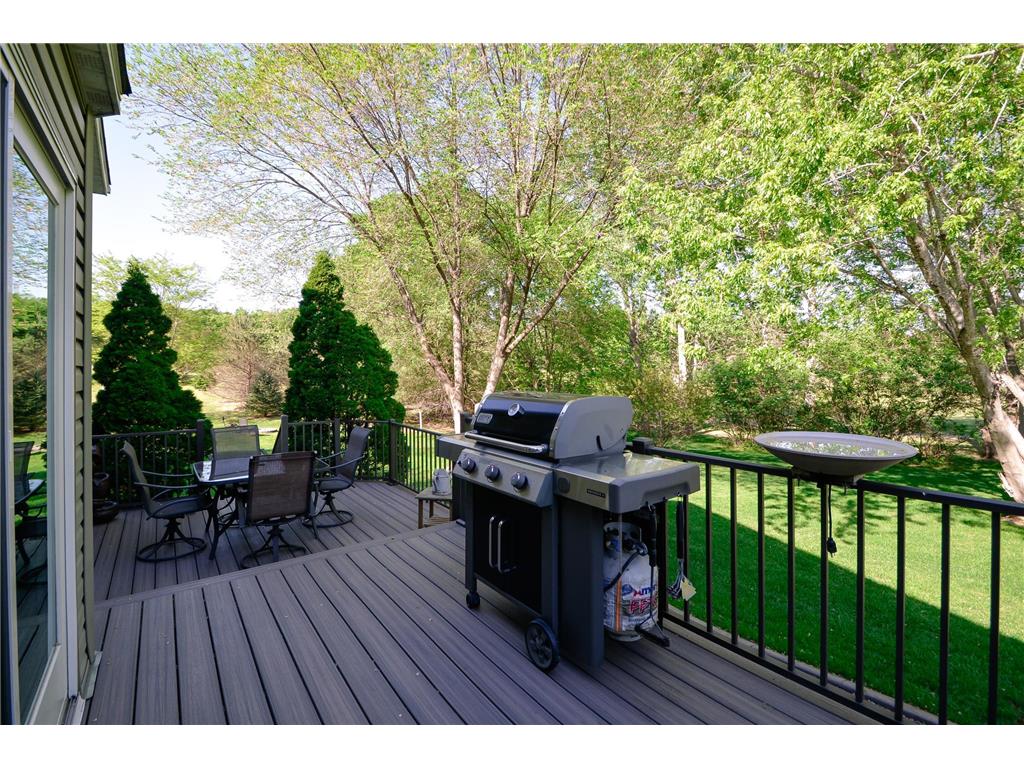 17222 168th Street SE Big Lake MN 55309 7080594 image82