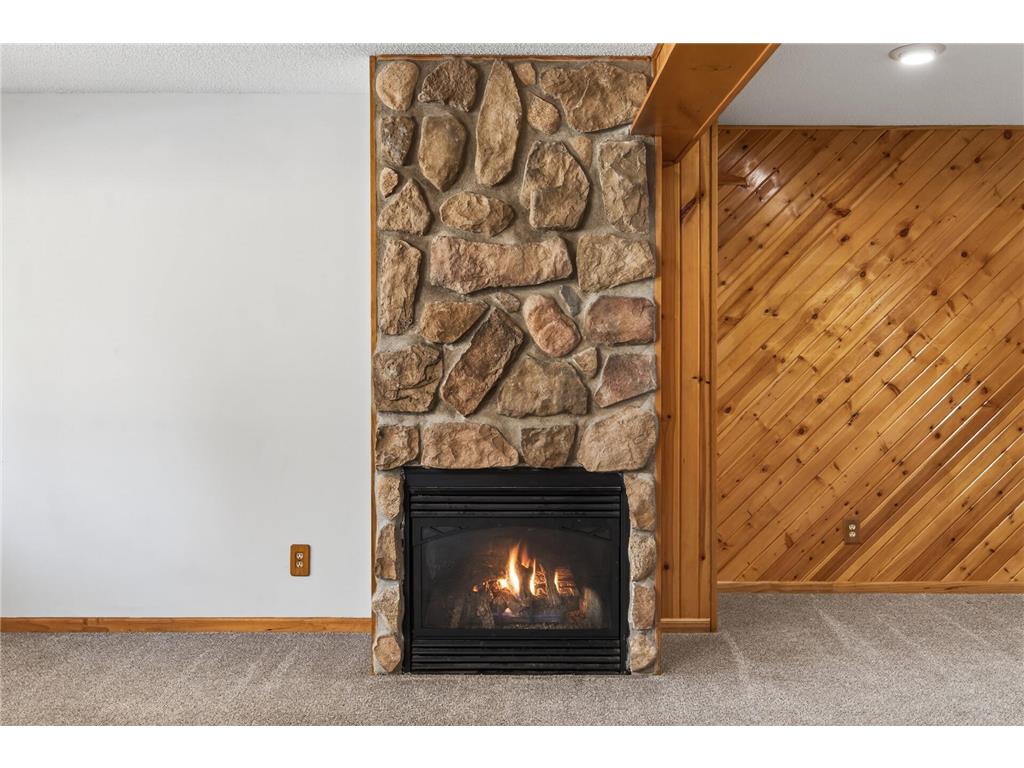 17229 Van Buren Street NE Ham Lake MN 55304 7019530 image28