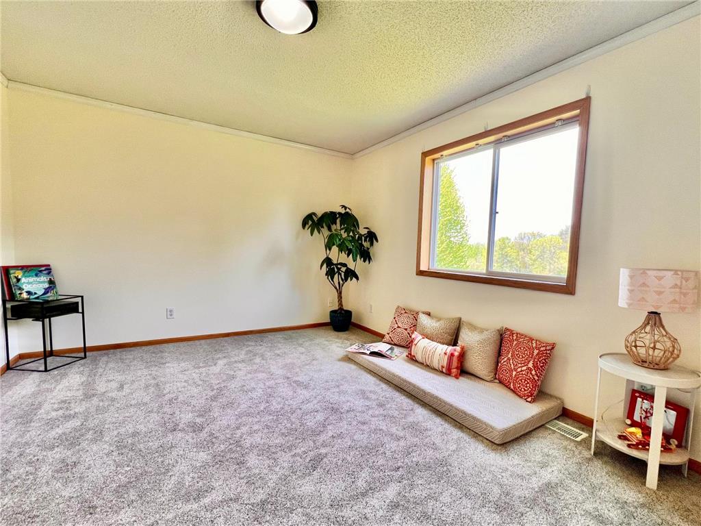 17229 Van Buren Street NE Ham Lake MN 55304 7072462 image27