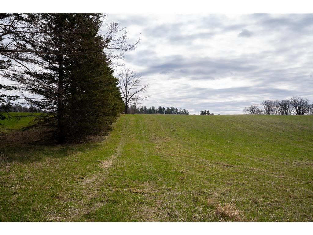 17231 330th Avenue Frazee MN 56544 7050288 image49