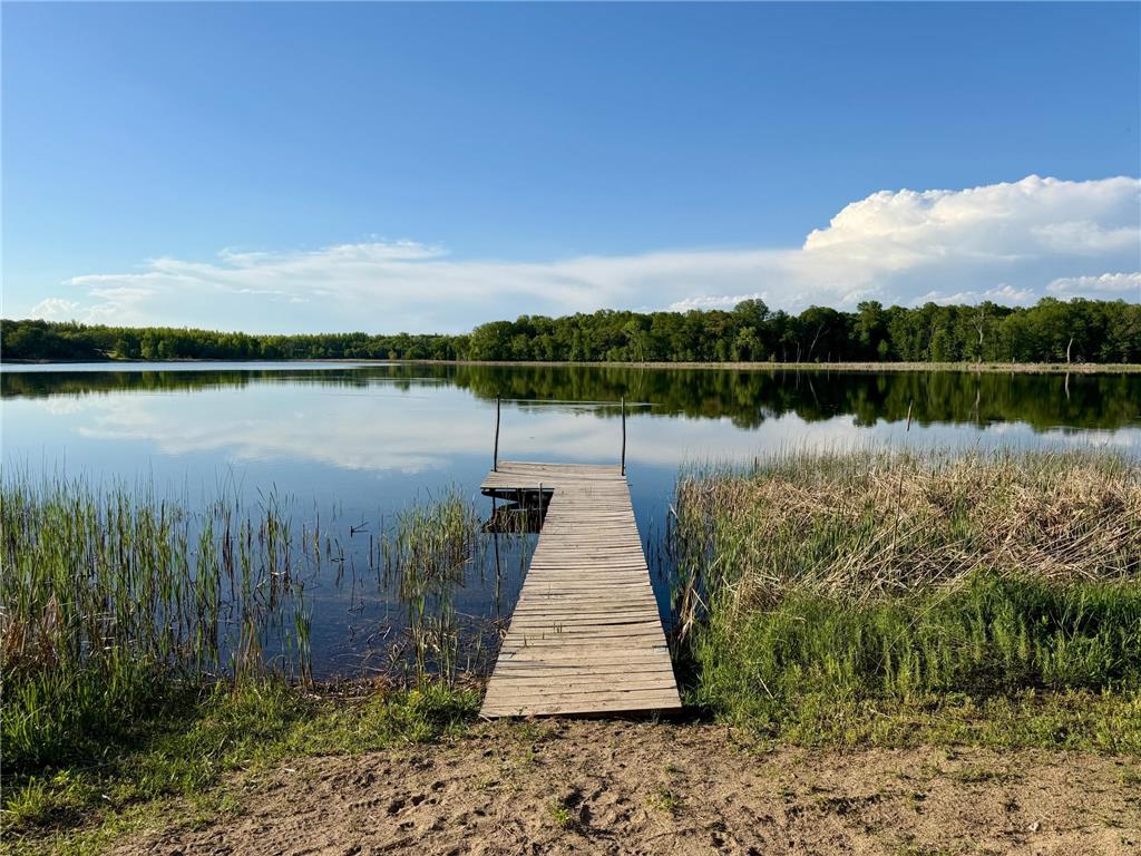 17231 State Highway 27 W Holmes City Twp MN 56343 - Oscar 7081439 image40
