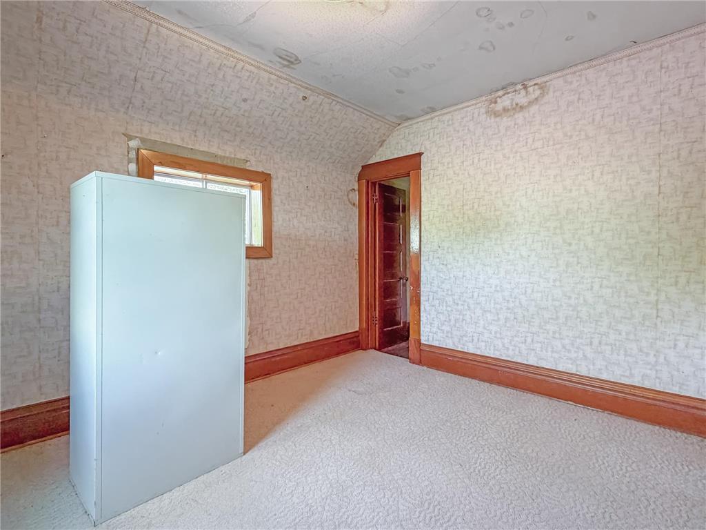 17238 County Highway 46 Vesta MN 56292 7080788 image51