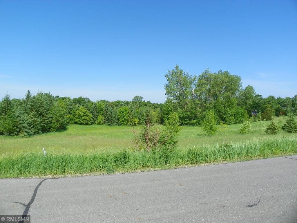 17239 TTT Road, Eden Valley, MN 55329 MLS 5556639 Edina Realty