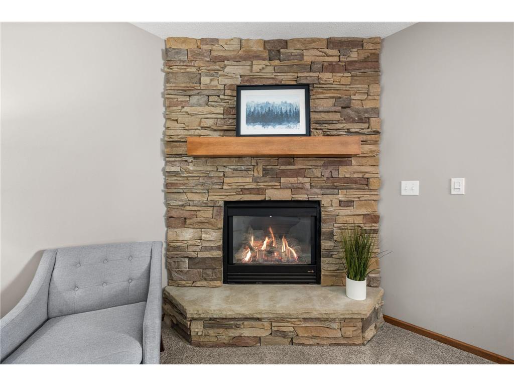 1725 14th Court W Hastings MN 55033 7089396 image37