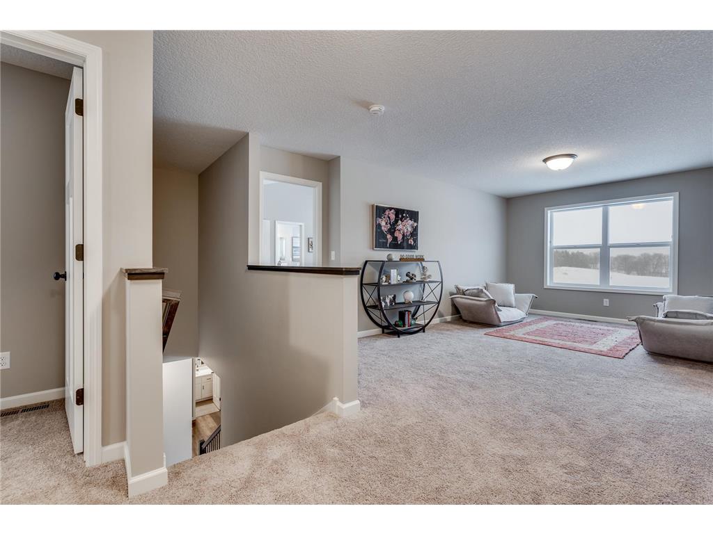 1725 Meadows Drive NE East Bethel MN 55011 7100163 image25