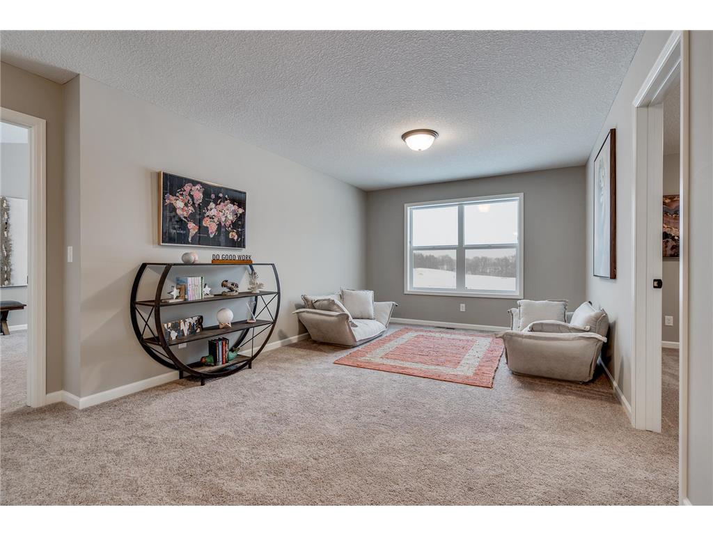1725 Meadows Drive NE East Bethel MN 55011 7100163 image26