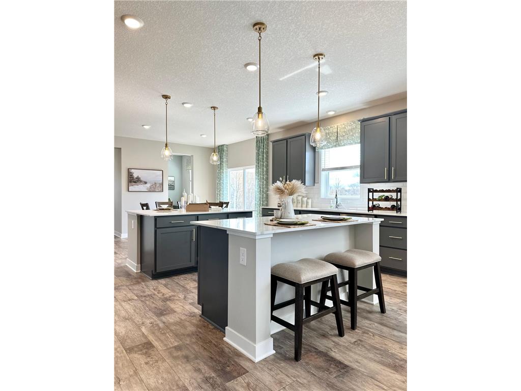 1725 Oak Creek Pass Chaska MN 55318 7001289 image4