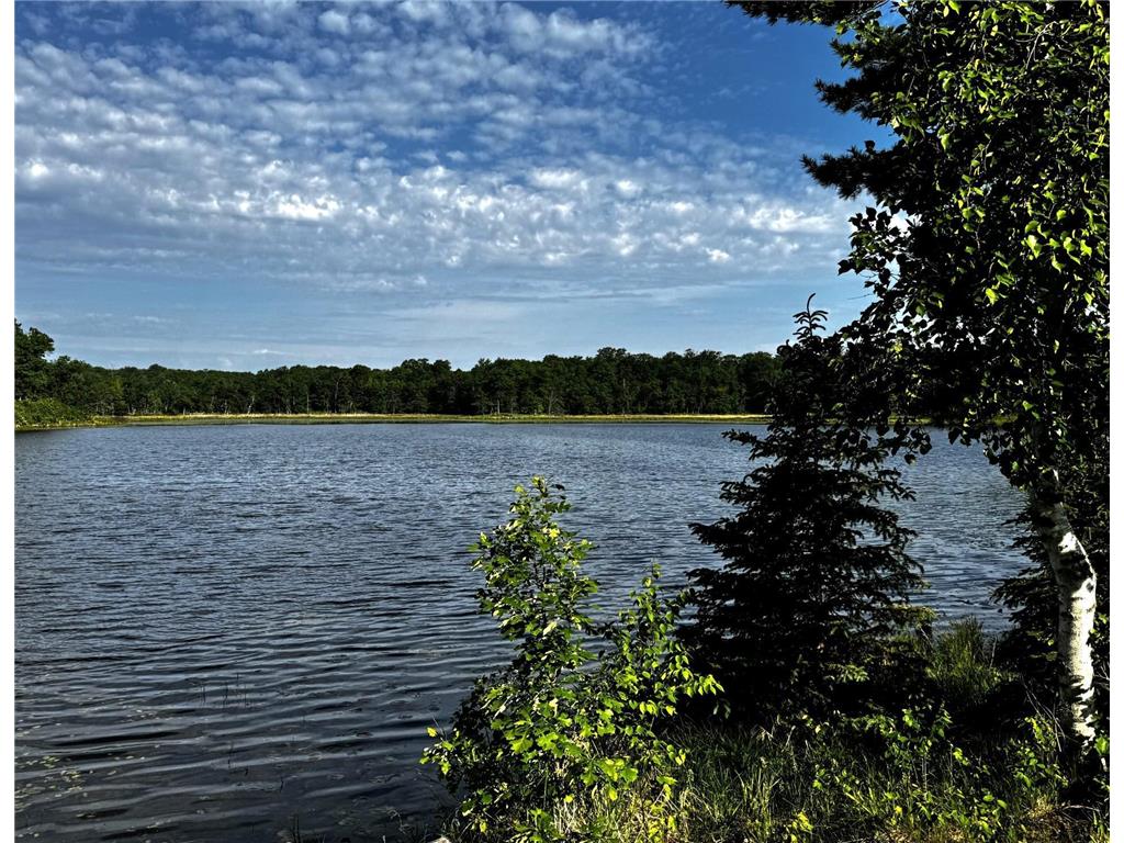 17251 State Hwy 6 Deerwood MN 56444 - Island Lake 6733151 image7