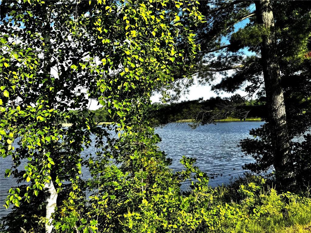 17251 State Hwy 6 Deerwood MN 56444 - Island Lake 6733151 image8