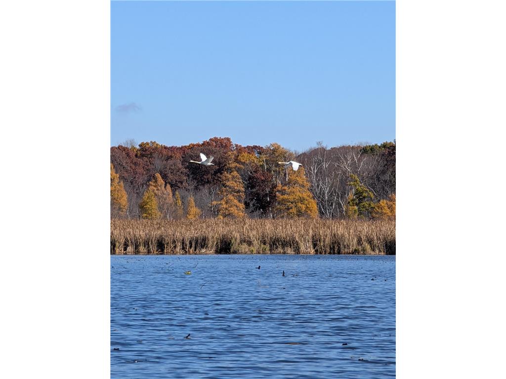 17265 Ward Lake Drive NW Andover MN 55304 - Ward 6780579 image89