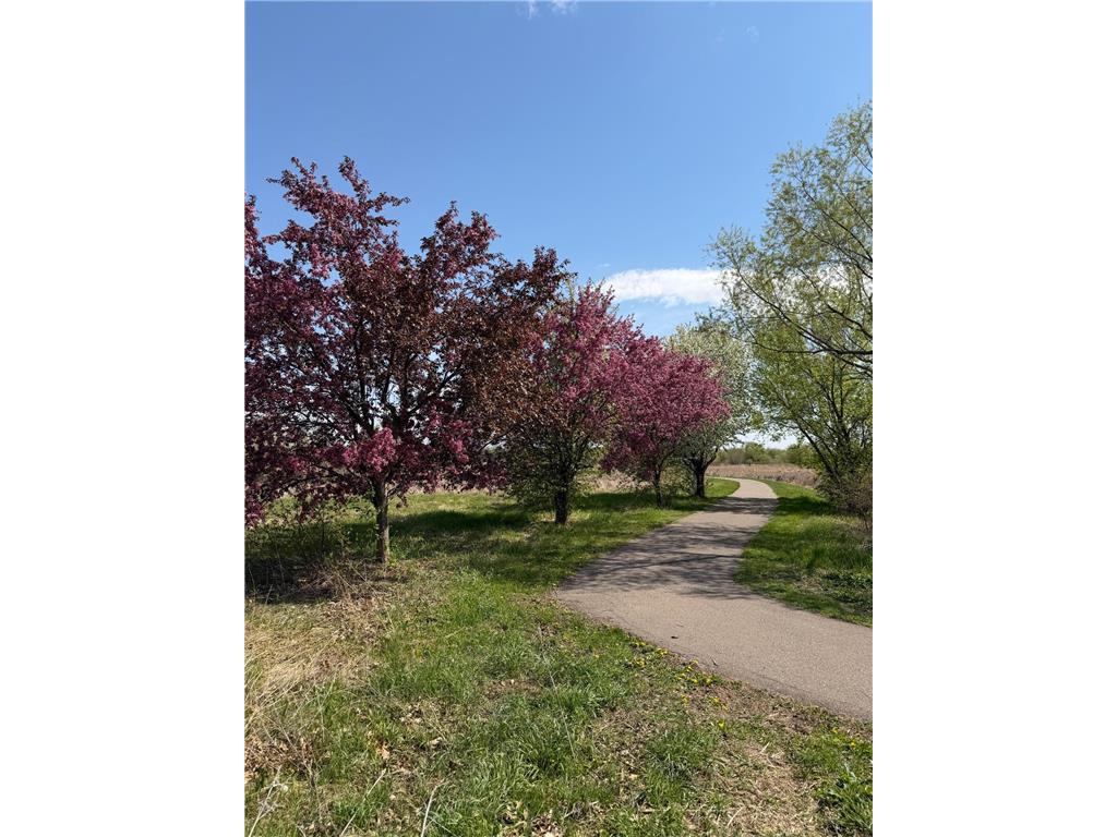 1727 Spruce Street Farmington MN 55024 7064689 image29
