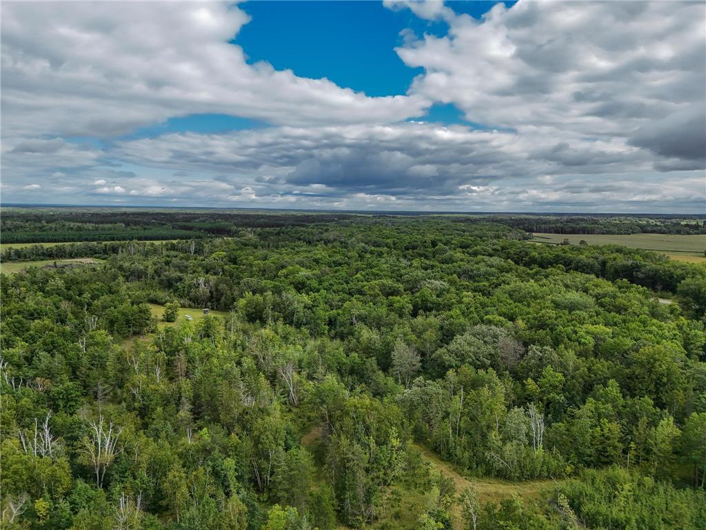 17279 284th St Sebeka MN 56477 - Red Eye River 6775380 image12