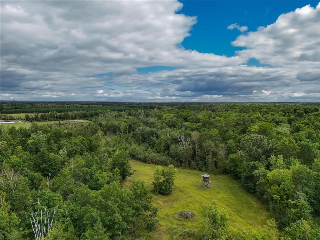 17279 284th St Sebeka MN 56477 - Red Eye River 6775380 image13