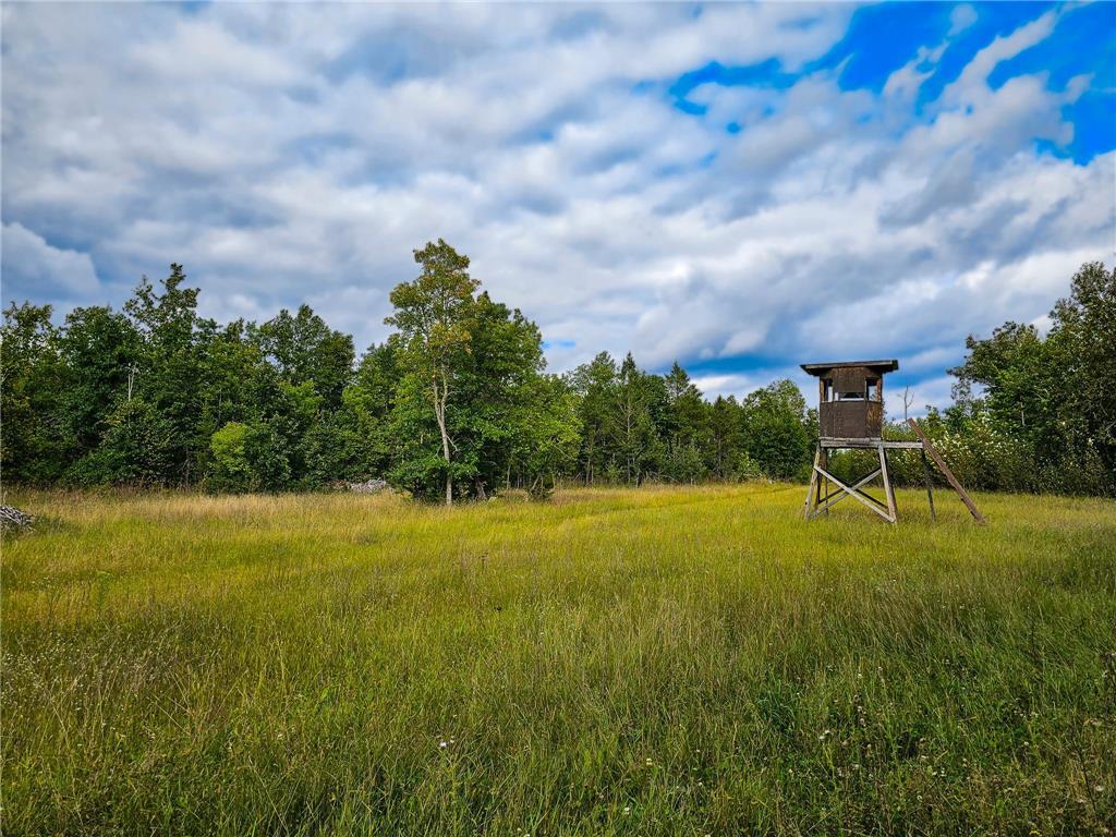 17279 284th St Sebeka MN 56477 - Red Eye River 6775380 image14