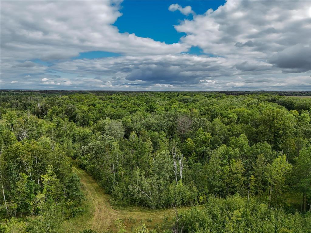 17279 284th St Sebeka MN 56477 - Red Eye River 6775380 image16