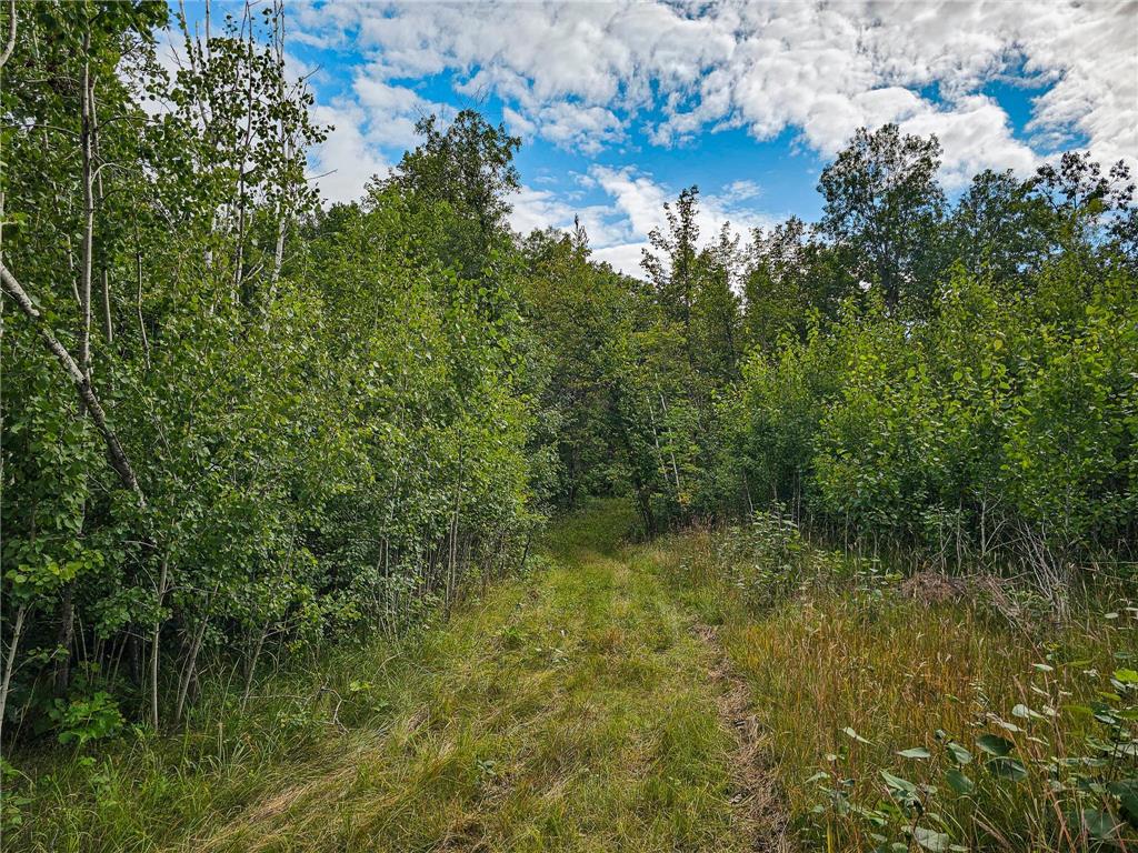 17279 284th St Sebeka MN 56477 - Red Eye River 6775380 image17